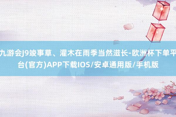 九游会J9竣事草、灌木在雨季当然滋长-欧洲杯下单平台(官方)APP下载IOS/安卓通用版/手机版
