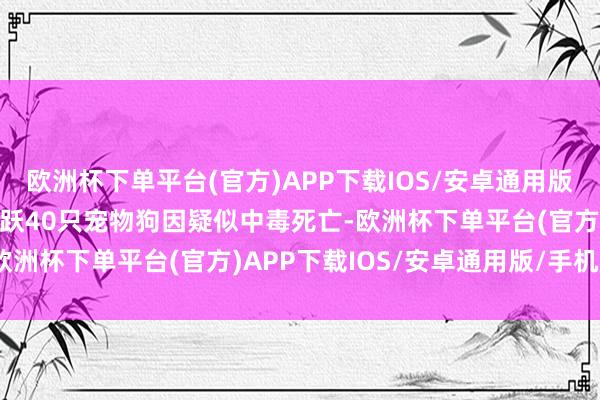 欧洲杯下单平台(官方)APP下载IOS/安卓通用版/手机版当今已证据有跳跃40只宠物狗因疑似中毒死亡-欧洲杯下单平台(官方)APP下载IOS/安卓通用版/手机版