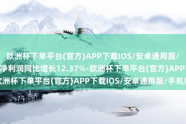 欧洲杯下单平台(官方)APP下载IOS/安卓通用版/手机版1Q-3Q24归母净利润同比增长12.37%-欧洲杯下单平台(官方)APP下载IOS/安卓通用版/手机版